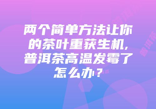 两个简单方法让你的茶叶重获生机,普洱茶高温发霉了怎么办？