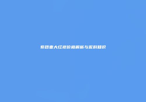 紫砂壶大红袍价格解析与泥料知识
