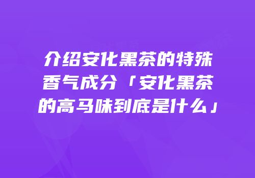 介绍安化黑茶的特殊香气成分「安化黑茶的高马味到底是什么」