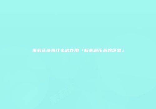 茉莉花茶有什么副作用「和茉莉花茶的坏处」