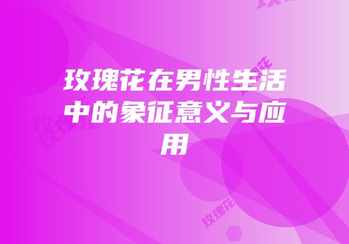 玫瑰花在男性生活中的象征意义与应用