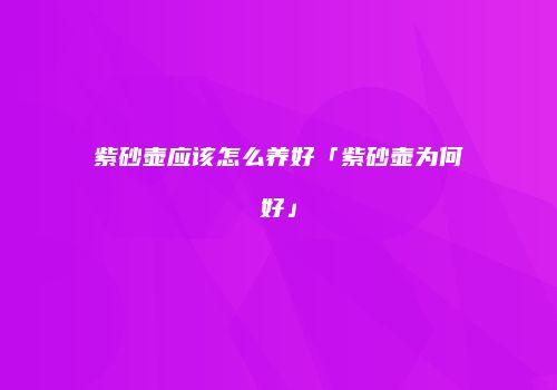 紫砂壶应该怎么养好「紫砂壶为何好」