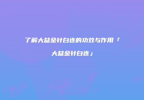 了解大益金针白连的功效与作用「大益金针白连」