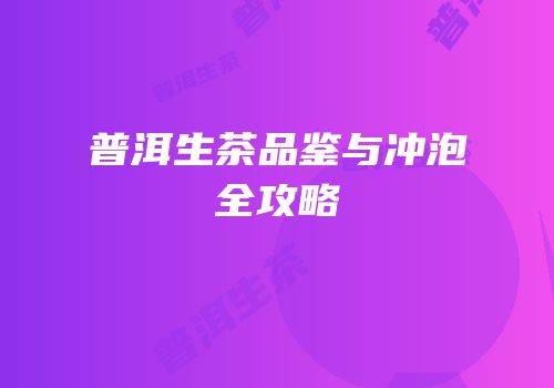 普洱生茶品鉴与冲泡全攻略