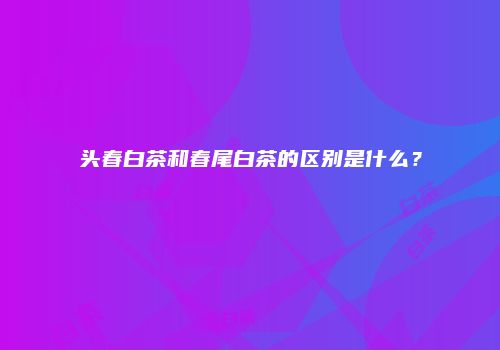 头春白茶和春尾白茶的区别是什么？