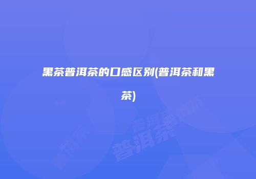 黑茶普洱茶的口感区别(普洱茶和黑茶)