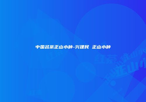 中国名茶正山小种-兴建民 正山小种