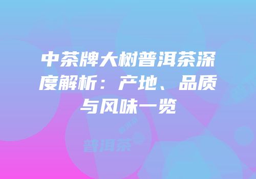 中茶牌大树普洱茶深度解析：产地、品质与风味一览