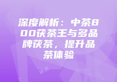 深度解析：中茶800茯茶王与多品牌茯茶，提升品茶体验