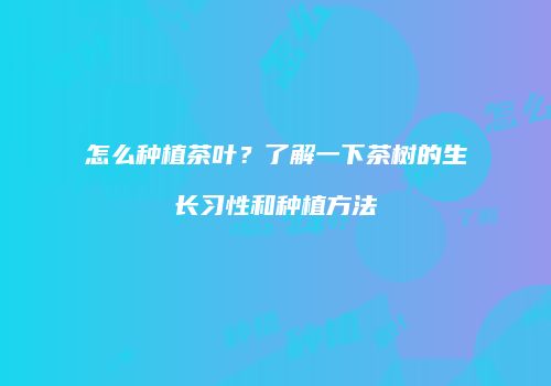 怎么种植茶叶？了解一下茶树的生长习性和种植方法