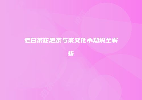 老白茶花泡茶与茶文化小知识全解析