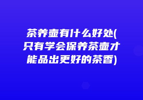 茶养壶有什么好处(只有学会保养茶壶才能品出更好的茶香)