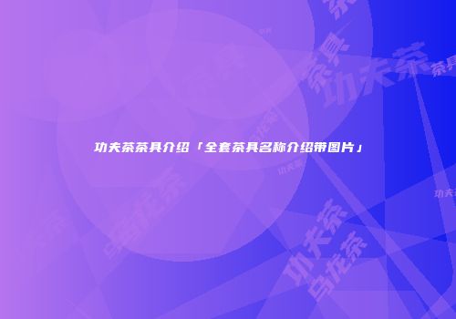 功夫茶茶具介绍「全套茶具名称介绍带图片」