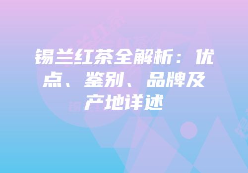 锡兰红茶全解析：优点、鉴别、品牌及产地详述