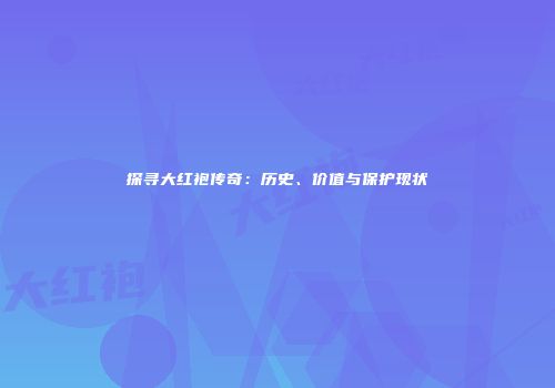 探寻大红袍传奇：历史、价值与保护现状