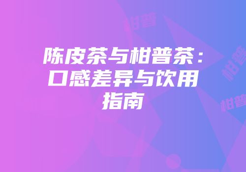 陈皮茶与柑普茶：口感差异与饮用指南