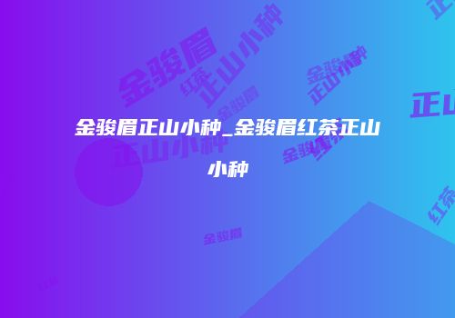 金骏眉正山小种_金骏眉红茶正山小种