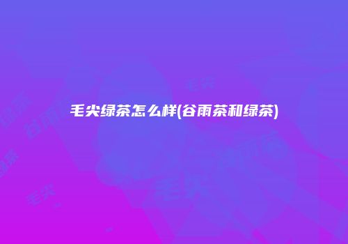 毛尖绿茶怎么样(谷雨茶和绿茶)