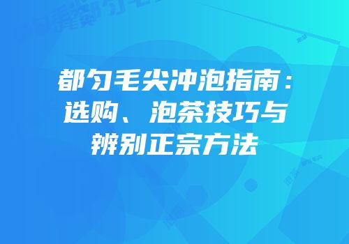 都匀毛尖冲泡指南：选购、泡茶技巧与辨别正宗方法