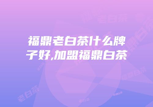 福鼎老白茶什么牌子好,加盟福鼎白茶