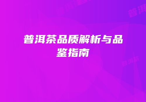 普洱茶品质解析与品鉴指南