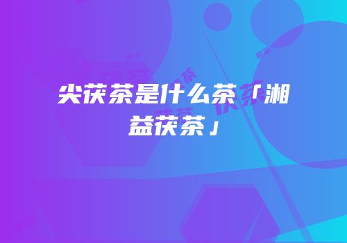 尖茯茶是什么茶「湘益茯茶」