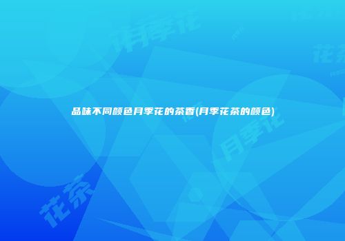 品味不同颜色月季花的茶香(月季花茶的颜色)