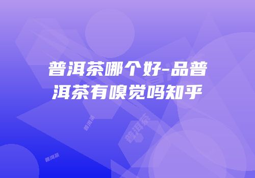 普洱茶哪个好-品普洱茶有嗅觉吗知乎