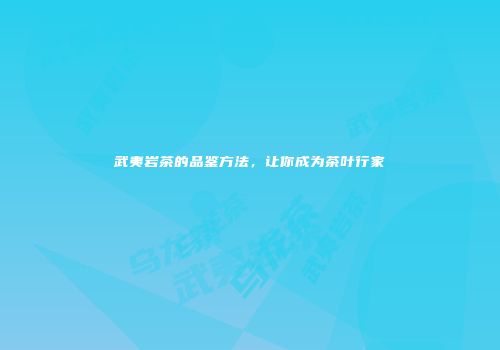 武夷岩茶的品鉴方法，让你成为茶叶行家