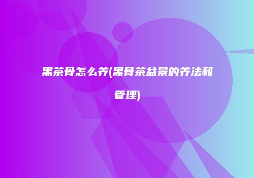 黑茶骨怎么养(黑骨茶盆景的养法和管理)