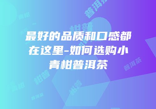 最好的品质和口感都在这里-如何选购小青柑普洱茶