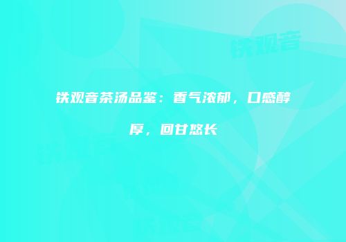 铁观音茶汤品鉴：香气浓郁，口感醇厚，回甘悠长