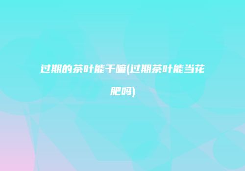 过期的茶叶能干嘛(过期茶叶能当花肥吗)