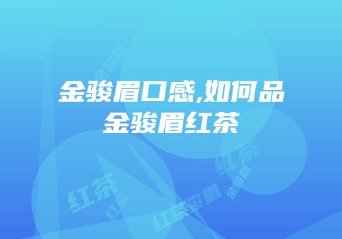 金骏眉口感,如何品金骏眉红茶