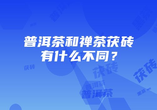 普洱茶和禅茶茯砖有什么不同？