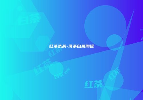 红茶洗茶-洗茶白茶陶瓷