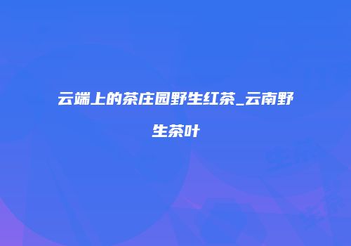 云端上的茶庄园野生红茶_云南野生茶叶