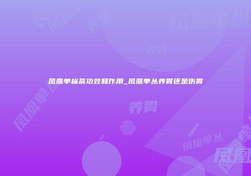 凤凰单枞茶功效和作用_凤凰单丛养胃还是伤胃