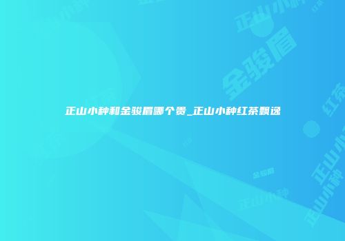 正山小种和金骏眉哪个贵_正山小种红茶飘逸