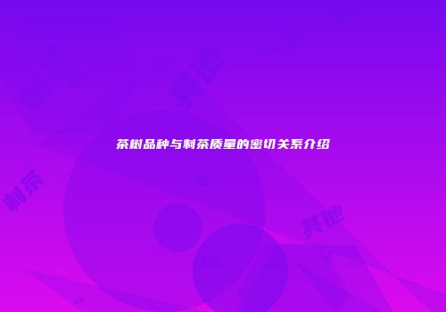 茶树品种与制茶质量的密切关系介绍