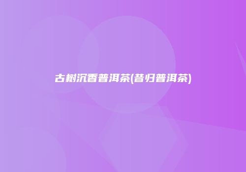 古树沉香普洱茶(昔归普洱茶)