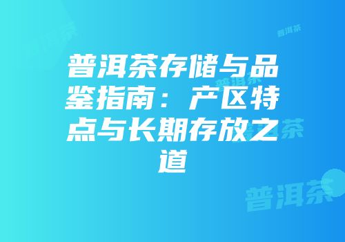 普洱茶存储与品鉴指南：产区特点与长期存放之道