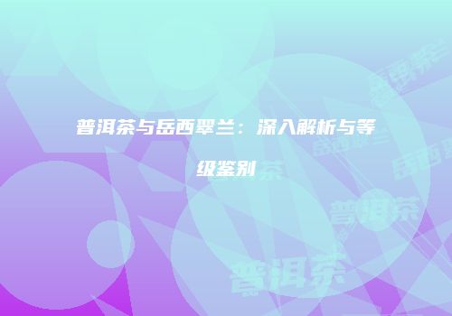 普洱茶与岳西翠兰：深入解析与等级鉴别