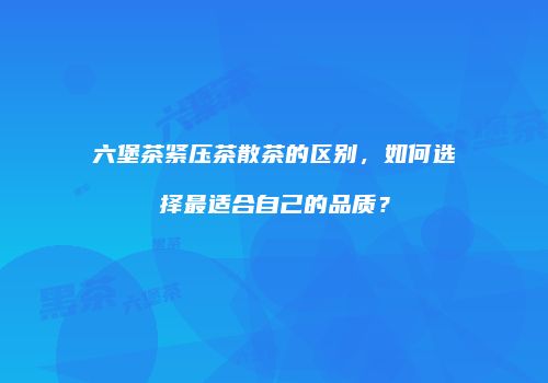 六堡茶紧压茶散茶的区别，如何选择最适合自己的品质？