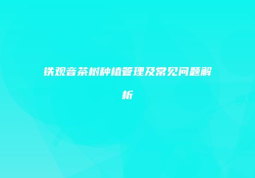 铁观音茶树种植管理及常见问题解析
