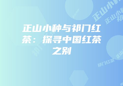 正山小种与祁门红茶：探寻中国红茶之别