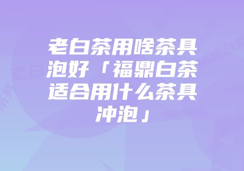 老白茶用啥茶具泡好「福鼎白茶适合用什么茶具冲泡」