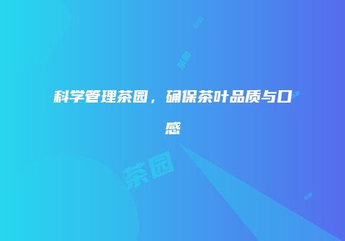 科学管理茶园，确保茶叶品质与口感