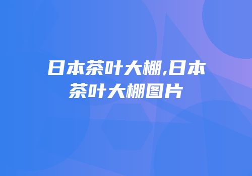 日本茶叶大棚,日本茶叶大棚图片