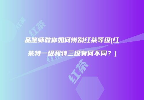 品鉴师教你如何辨别红茶等级(红茶特一级和特三级有何不同？)